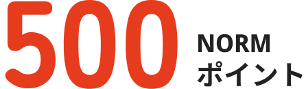 500NORMポイント