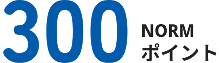 300NORMポイント